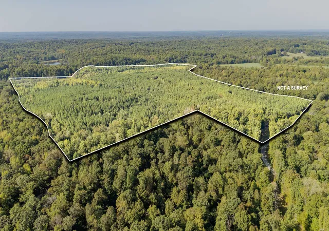 Photo 1 of Sale Pending at 0 Baudy James Rd, Cedar Grove, TN 38321 | MLS# 3592880 | Listing updated on 2026-09-25