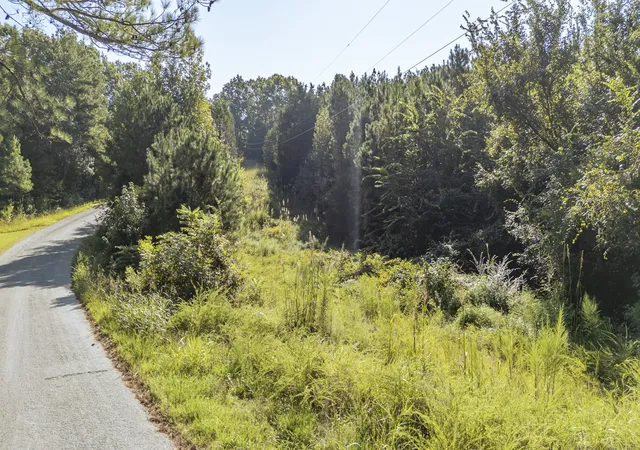 Photo 3 of Sale Pending at 0 Baudy James Rd, Cedar Grove, TN 38321 | MLS# 3592880 | Listing updated on 2026-09-25