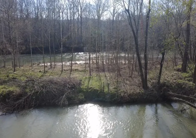 Photo 3 of Land for sale at 0 Buffalo River Chase, Lobelville, TN 37097 | MLS# 3593554 | Listing updated on 2026-09-17