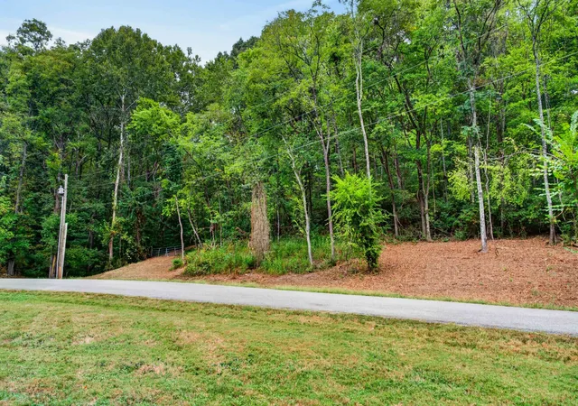Photo 3 of Land for sale at 218 Forest Ridge Ct, Franklin, TN 37069 | MLS# 3601859 | Listing updated on 2026-09-28