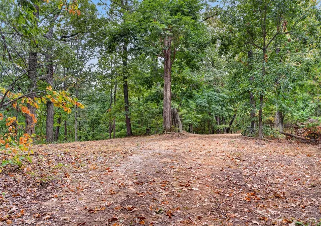 Photo 4 of Land for sale at 218 Forest Ridge Ct, Franklin, TN 37069 | MLS# 3601859 | Listing updated on 2026-09-28