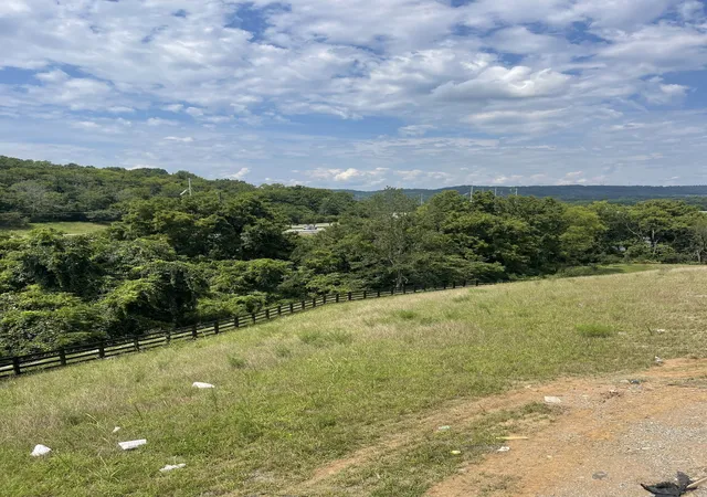 Photo 3 of Single family home for sale at 213 Berry Hunter Ln, Franklin, TN 37067 | MLS# 3596475 | Listing updated on 2026-09-20