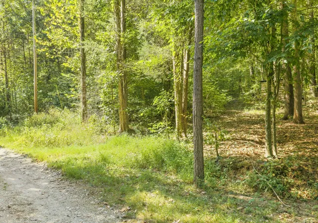 Photo 2 of Land for sale at 0 Fancy Farm Ln, Parsons, TN 38363 | MLS# 3603835 | Listing updated on 2026-10-01