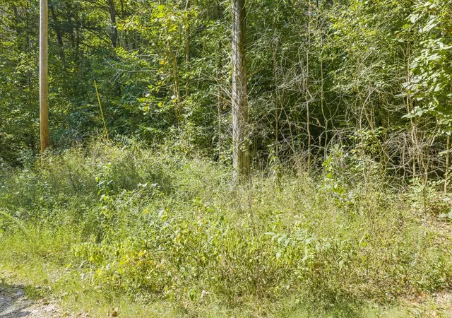Photo 4 of Land for sale at 0 Fancy Farm Ln, Parsons, TN 38363 | MLS# 3603835 | Listing updated on 2026-10-01