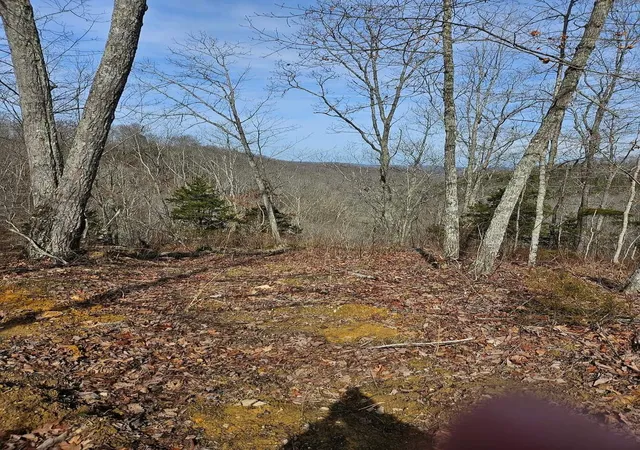 Photo 3 of Land for sale at 68 Malone Rdg, Albany, KY 42602 | MLS# 3593322 | Listing updated on 2026-09-17