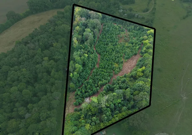 Photo 1 of Land for sale at 0 County Rd 550, Athens, TN 37303 | MLS# 3597830 | Listing updated on 2026-09-23