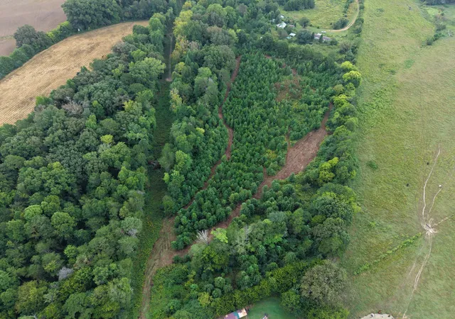 Photo 2 of Land for sale at 0 County Rd 550, Athens, TN 37303 | MLS# 3597830 | Listing updated on 2026-09-23