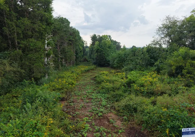 Photo 3 of Land for sale at 0 County Rd 550, Athens, TN 37303 | MLS# 3597830 | Listing updated on 2026-09-23