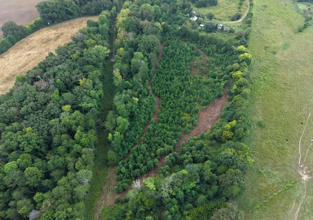 Photo 3 of Land for sale at 0 County Rd 550, Athens, TN 37303 | MLS# 3597830 | Listing updated on 2026-09-23
