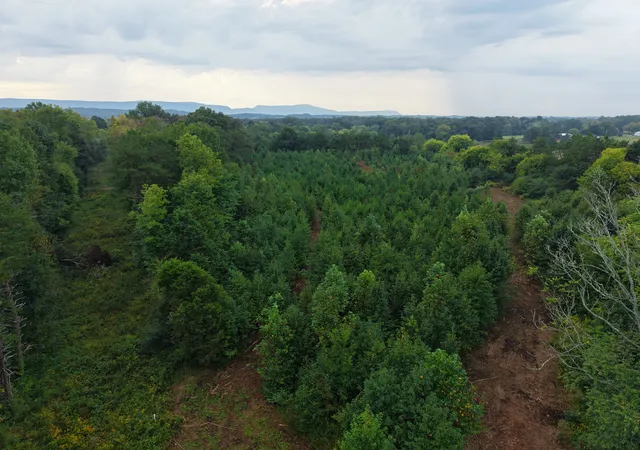 Photo 4 of Land for sale at 0 County Rd 550, Athens, TN 37303 | MLS# 3597830 | Listing updated on 2026-09-23