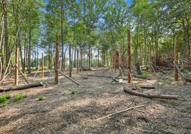 Land for sale at 0 Preacher Spry Rd, Bradyville, TN 37026 | MLS# 3593540
