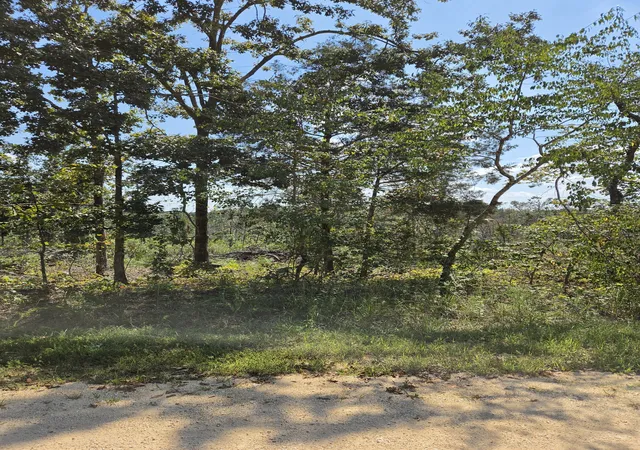 Photo 1 of Sale Pending at 0 Woodland Rd, Hohenwald, TN 38462 | MLS# 3602812 | Listing updated on 2026-09-29