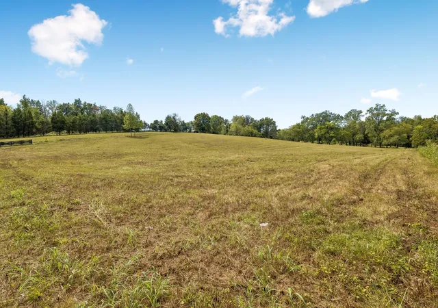 Photo 3 of Land for sale at 0 Hwy 31w, White House, TN 37188 | MLS# 3596583 | Listing updated on 2026-09-21