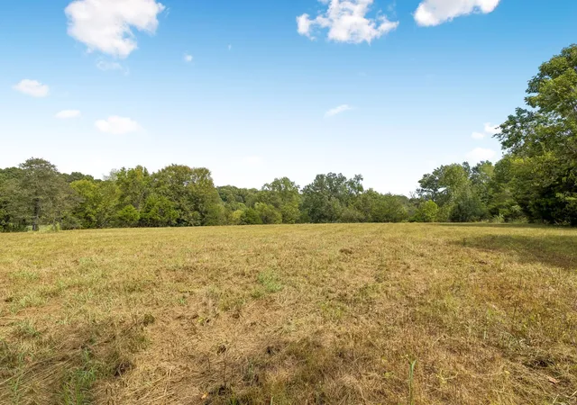 Photo 3 of Land for sale at 0 Hwy 31w, White House, TN 37188 | MLS# 3596583 | Listing updated on 2026-09-21