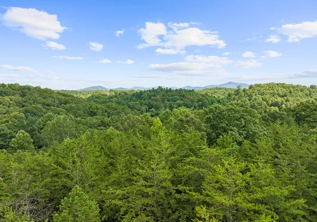Photo 2 of Land for sale at 6 Timber Ln Ct, Turtletown, TN 37391 | MLS# 3597575 | Listing updated on 2026-09-22