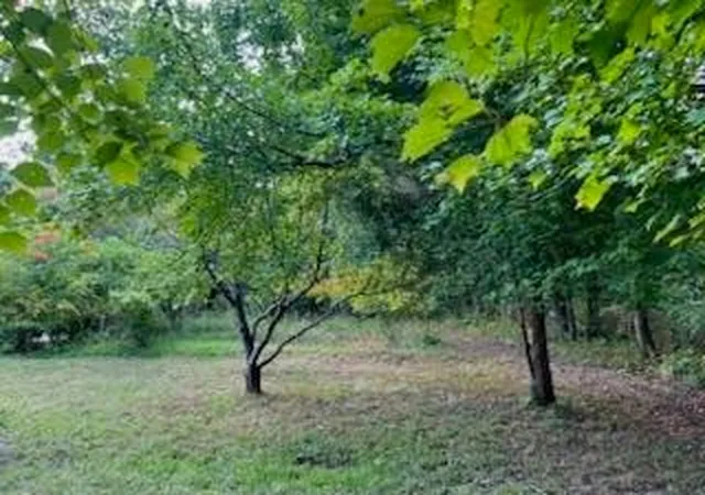Photo 3 of Land for sale at 113 Bee Branch Blvd, Signal Mountain, TN 37377 | MLS# 3599480 | Listing updated on 2026-09-25