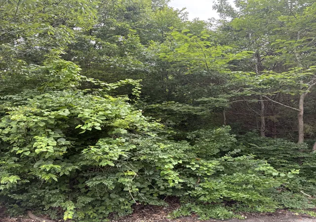 Photo 3 of Land for sale at 686 Putnam Dr, Nashville, TN 37218 | MLS# 3594221 | Listing updated on 2026-09-18
