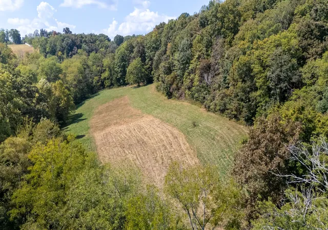 Photo 1 of Land for sale at 384 Big Spring Holw, Pulaski, TN 38478 | MLS# 3598436 | Listing updated on 2026-09-23