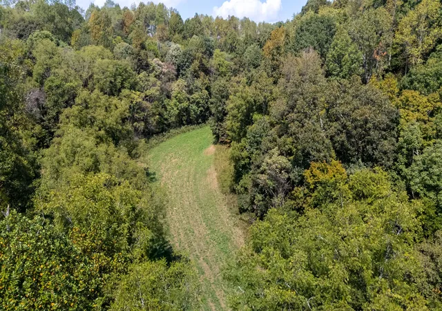 Photo 3 of Land for sale at 384 Big Spring Holw, Pulaski, TN 38478 | MLS# 3598436 | Listing updated on 2026-09-23