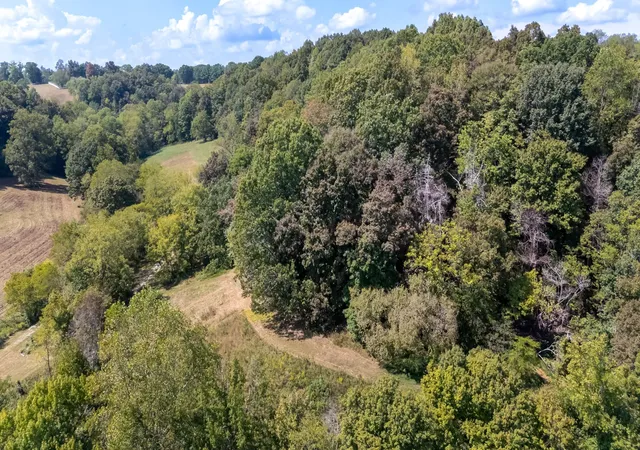 Photo 3 of Land for sale at 384 Big Spring Holw, Pulaski, TN 38478 | MLS# 3598436 | Listing updated on 2026-09-23