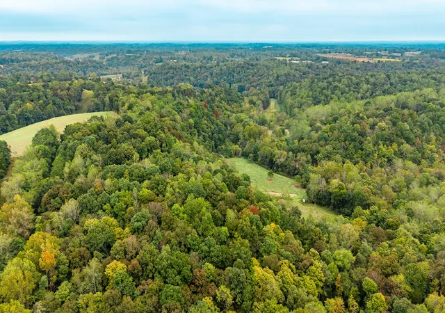 Photo 3 of Land for sale at 1695 Puncheon Crk Rd, Lafayette, TN 37083 | MLS# 3601428 | Listing updated on 2026-09-25