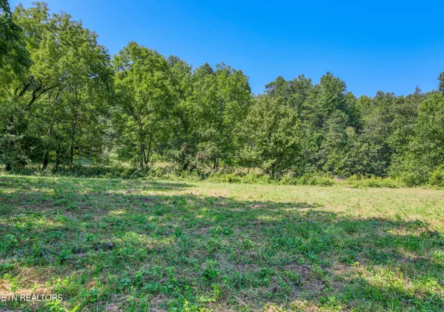 Photo 2 of Land for sale at 0 Belcher Loop, Tellico Plains, TN 37385 | MLS# 3602241 | Listing updated on 2026-09-29