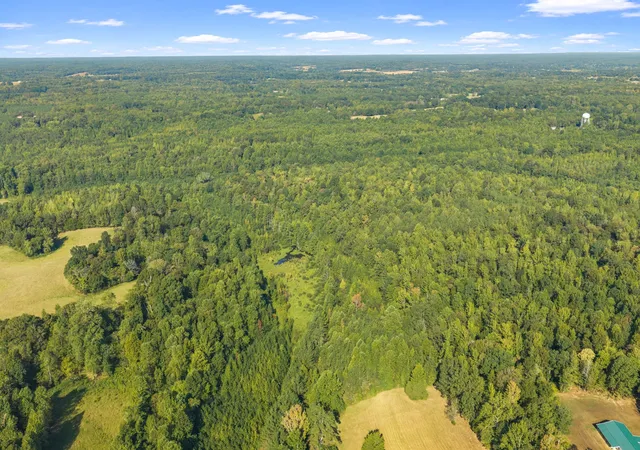 Photo 3 of Land for sale at 0 Highway 114 W, Scotts Hill, TN 38374 | MLS# 3599001 | Listing updated on 2026-09-24