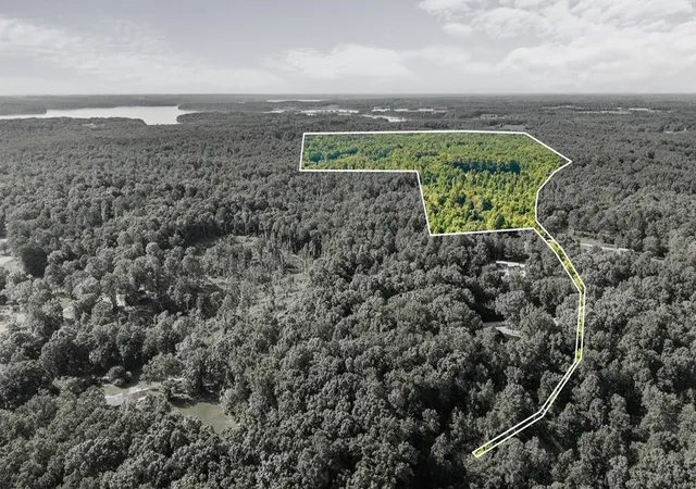 Photo 1 of Land for sale at 0 Hamilton Rd, Springville, TN 38256 | MLS# 3597624 | Listing updated on 2026-10-08