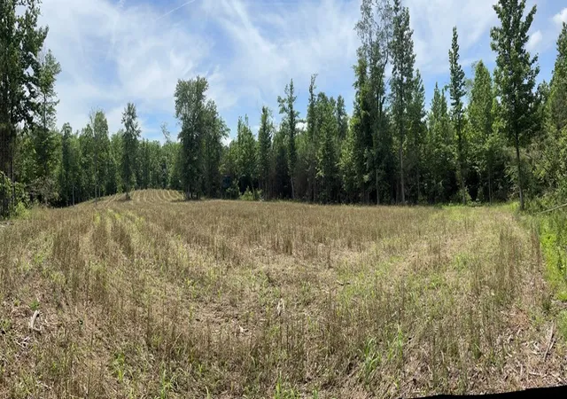 Photo 2 of Land for sale at 0 Hamilton Rd, Springville, TN 38256 | MLS# 3597624 | Listing updated on 2026-10-08