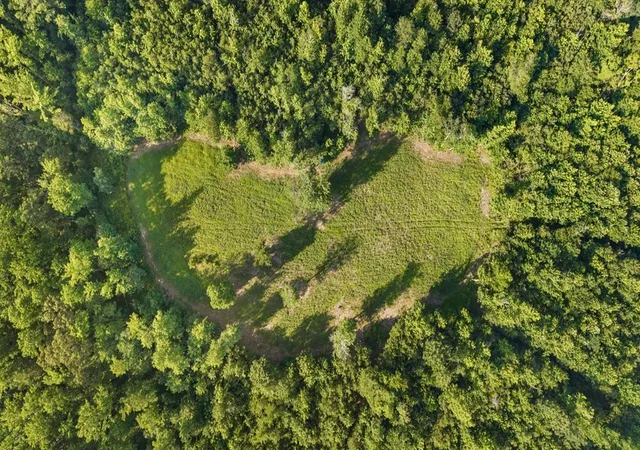 Photo 3 of Land for sale at 0 Hamilton Rd, Springville, TN 38256 | MLS# 3597624 | Listing updated on 2026-10-08
