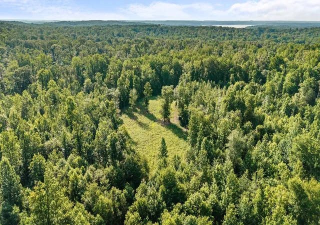 Photo 4 of Land for sale at 0 Hamilton Rd, Springville, TN 38256 | MLS# 3597624 | Listing updated on 2026-10-08