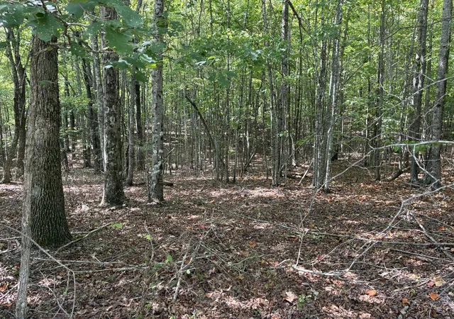 Land for sale at 0 Lake Trl, Dunlap, TN 37327 | MLS# 3594701