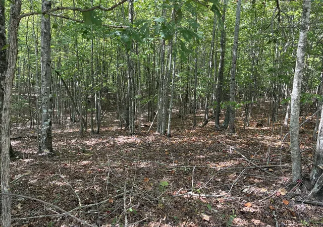 Photo 2 of Land for sale at 0 Lake Trl, Dunlap, TN 37327 | MLS# 3594701 | Listing updated on 2026-09-19