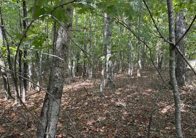 Photo 3 of Land for sale at 0 Lake Trl, Dunlap, TN 37327 | MLS# 3594701 | Listing updated on 2026-09-19