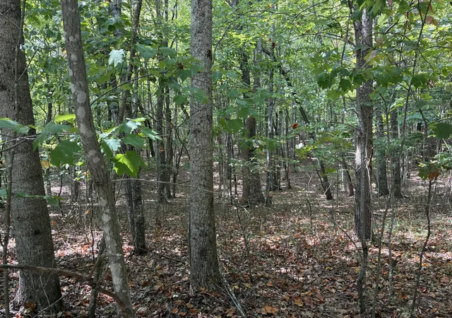 Photo 4 of Land for sale at 0 Lake Trl, Dunlap, TN 37327 | MLS# 3594701 | Listing updated on 2026-09-19