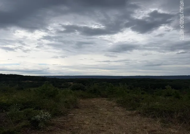 Photo 2 of Land for sale at 1 Bethel Rd, Hammondville, AL 35989 | MLS# 3595077 | Listing updated on 2026-09-21