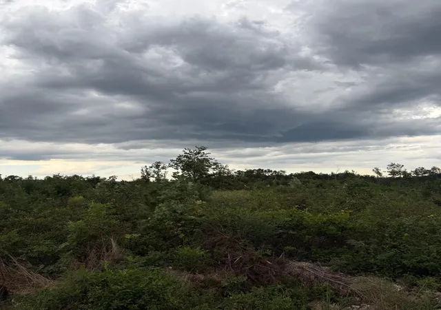 Photo 3 of Land for sale at 1 Bethel Rd, Hammondville, AL 35989 | MLS# 3595077 | Listing updated on 2026-09-21