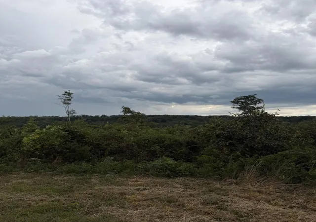 Photo 3 of Land for sale at 1 Bethel Rd, Hammondville, AL 35989 | MLS# 3595077 | Listing updated on 2026-09-21
