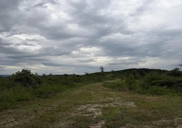 Photo 4 of Land for sale at 1 Bethel Rd, Hammondville, AL 35989 | MLS# 3595077 | Listing updated on 2026-09-21