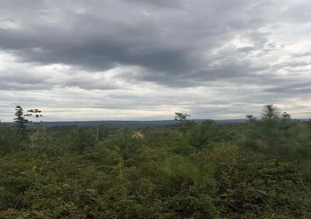Photo 1 of Land for sale at 2 Bethel Rd, Valley Head, AL 35989 | MLS# 3595950 | Listing updated on 2026-09-21