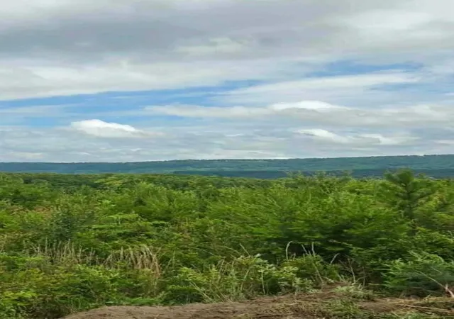 Photo 2 of Land for sale at 2 Bethel Rd, Valley Head, AL 35989 | MLS# 3595950 | Listing updated on 2026-09-21