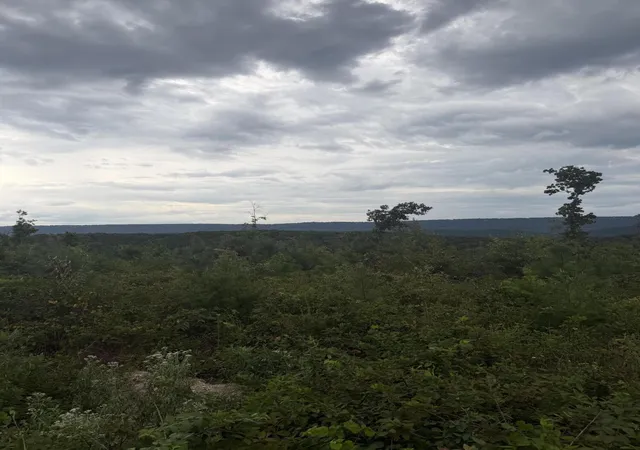 Photo 3 of Land for sale at 2 Bethel Rd, Valley Head, AL 35989 | MLS# 3595950 | Listing updated on 2026-09-21
