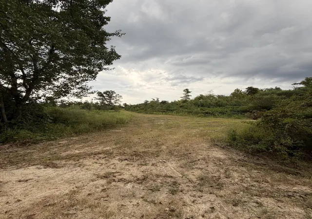 Photo 3 of Land for sale at 2 Bethel Rd, Valley Head, AL 35989 | MLS# 3595950 | Listing updated on 2026-09-21