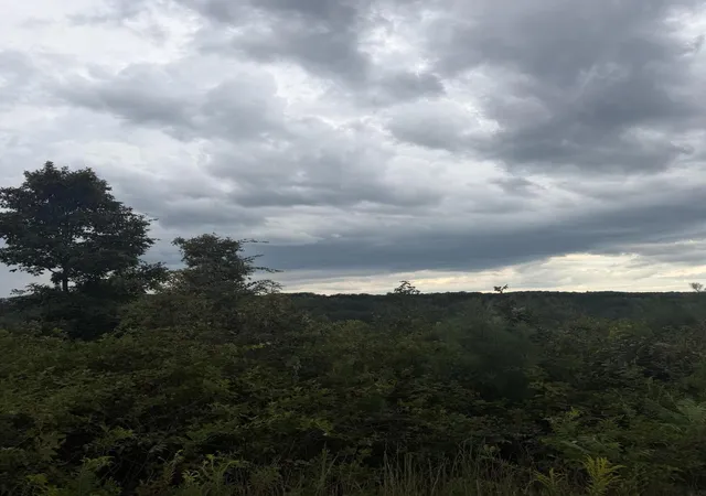 Photo 4 of Land for sale at 2 Bethel Rd, Valley Head, AL 35989 | MLS# 3595950 | Listing updated on 2026-09-21
