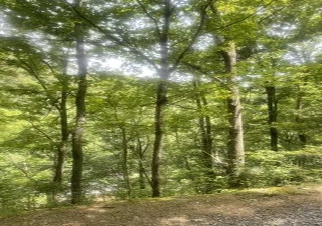Land for sale at 0 Meadow View Rd, Sevierville, TN 37862 | MLS# 3596401