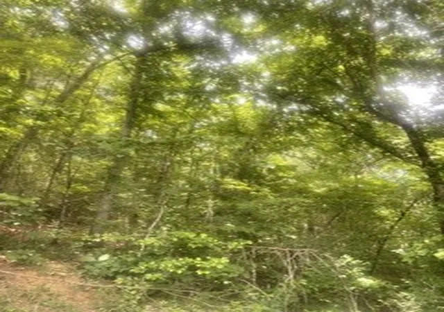 Photo 1 of Land for sale at 0 Meadow View Rd, Sevierville, TN 37862 | MLS# 3596401 | Listing updated on 2026-09-20