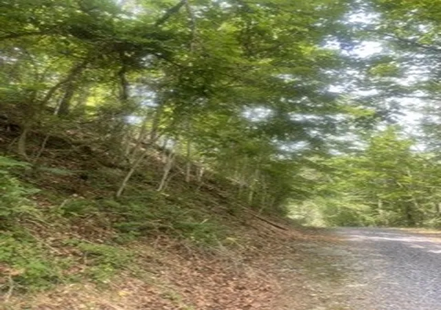 Photo 2 of Land for sale at 0 Meadow View Rd, Sevierville, TN 37862 | MLS# 3596401 | Listing updated on 2026-09-20