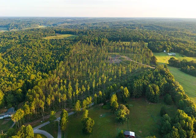 Photo 1 of Land for sale at 1 Gilchrist Rd, Cypress Inn, TN 38452 | MLS# 3596181 | Listing updated on 2026-09-19