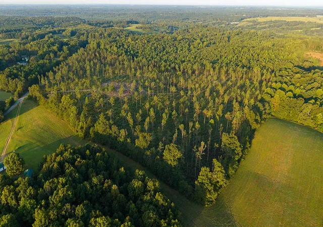 Photo 2 of Land for sale at 1 Gilchrist Rd, Cypress Inn, TN 38452 | MLS# 3596181 | Listing updated on 2026-09-19