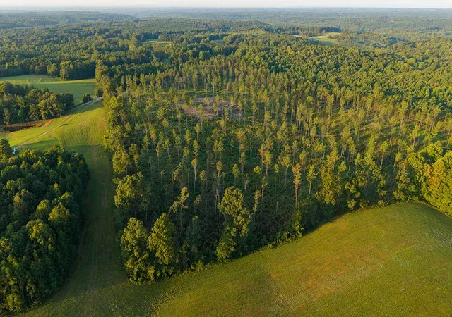 Photo 3 of Land for sale at 1 Gilchrist Rd, Cypress Inn, TN 38452 | MLS# 3596181 | Listing updated on 2026-09-19
